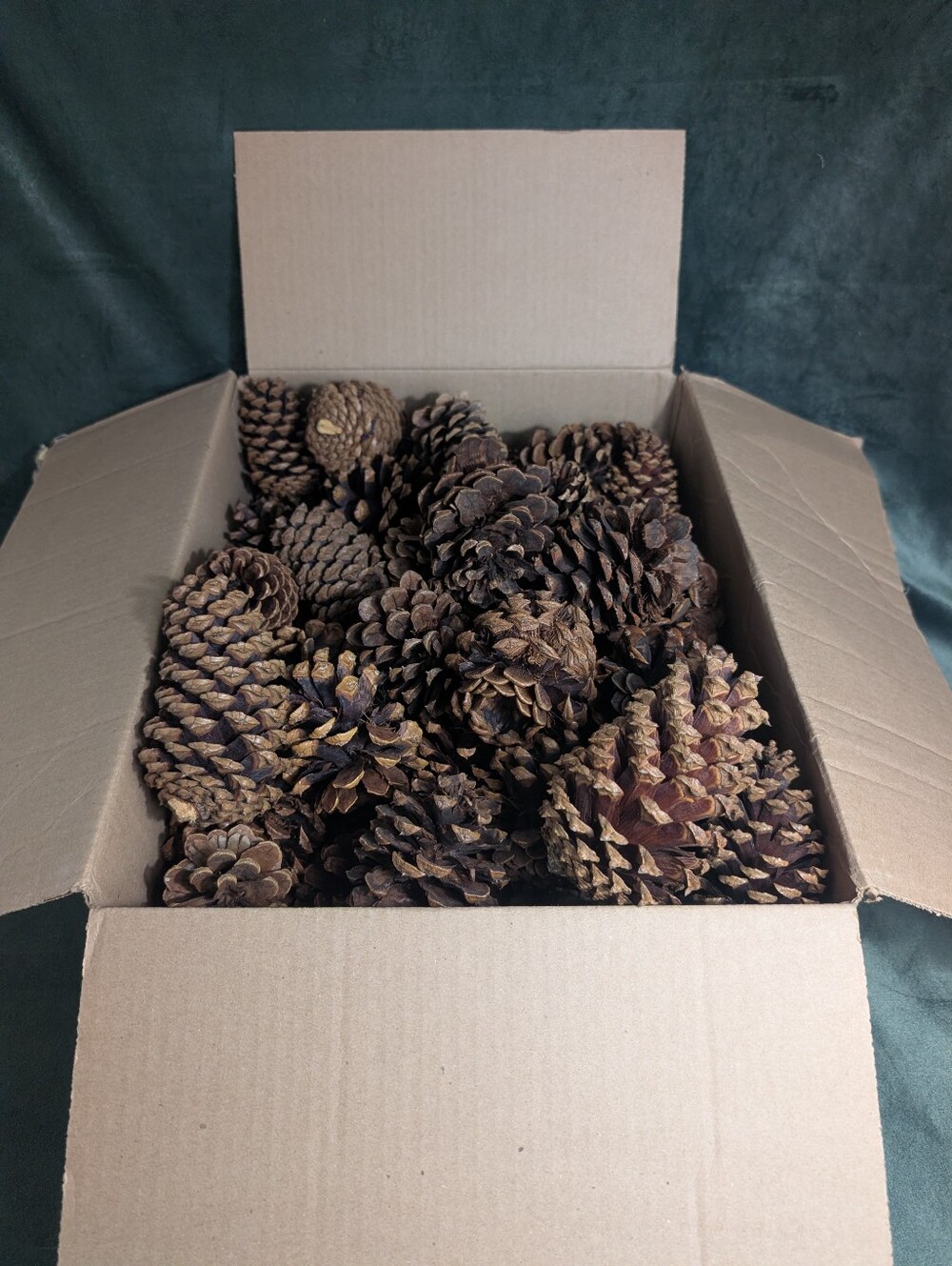 Pine Cones For Crafting. Used To Be Cinnamon Scented. Lot From The Photo